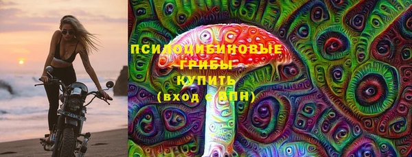 a pvp Алзамай