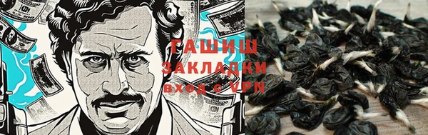 шишки Алексин