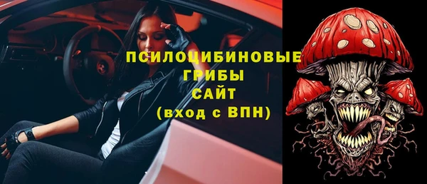 шишки Алексин